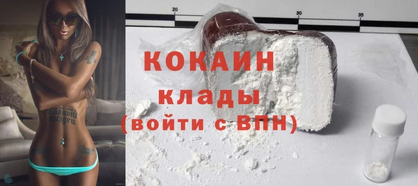 гашик Богданович