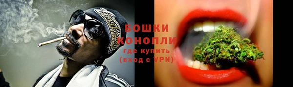 mdpv Бородино
