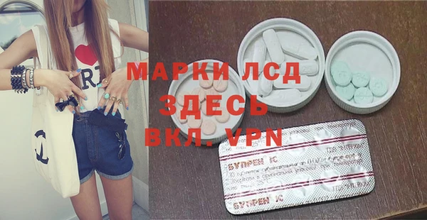 гашик Богданович