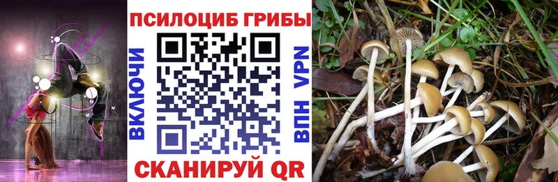 Галлюциногенные грибы Magic Shrooms  купить наркотики цена  Пионерский 